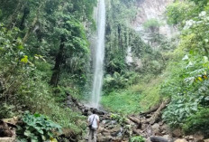 Air Terjun Putri Malu: Keindahan Tersembunyi di Pegunungan Way Kanan Lampung!