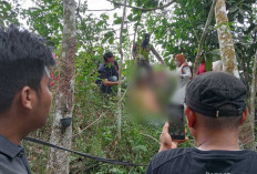 Seorang Pemuda Ditemukan Tewas Tergantung di Kebun Karet, Warga Pancawarna OKI Mendadak Heboh