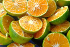 Waspada Penyakit Asam Lambung (GERD): Kenali Gejala, Pencegahan, dan Buah yang Harus Dihindari