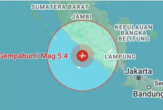 Guncangan Gempa di Lubuklinggau Gegerkan Warga, BMKG: Sumber dari Kabupaten Seluma-Bengkulu