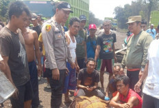 Tragedi Laka Lantas di Jalan Servo  Muaraenim : Pasutri Tewas Ditempat Tertabrak Truk Batubara !