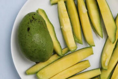 Manfaat Mangga Muda untuk Ibu Hamil