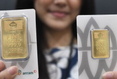 Harga Emas Antam 30 Januari 2025 : Turun Tipis Rp 1.000 Menjadi Rp1.601 Juta per Gram !