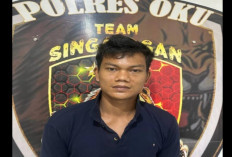   Sempat Buron, Pencuri Sawit Berhasil Diamankan Polisi