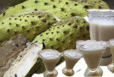 Jus Sirsak Kembali Populer, Minuman Tradisional yang Kaya Manfaat untuk Kesehatan