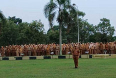 Jelang Pelantikan Wako dan Wawako : Elman Sampaikan Permohonan Maaf dan Terima Kasih !