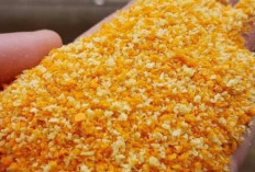 Tepung Panir : Rahasia Kerenyahan Makanan yang Semakin Populer di Indonesia