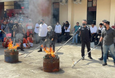 Polda Sumatera Selatan Musnahkan Barang Bukti Narkoba Senilai Rp2,8 Miliar Hasil Ungkap Mei 2026