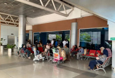 Capai 40.938 Orang Penumpang di Bandara SMB II saat Libur Panjang 