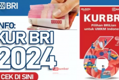 KUR BRI, Jadi 