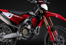 Bukan Motor Trail Biasa! Ini Spesifikasi Lengkap Ducati Desmo450 MX Factory