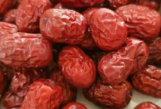 Jaga Kesehatan Lambung dan Limpa dengan Buah Angco