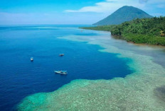 Menjelajah Sulawesi: Destinasi Wisata Ramah Anak yang Seru dan Edukatif