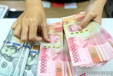 Update ! Kurs Rupiah 18 Desember 2024 : Melemah Tipis 16 Poin Menjadi Rp16.085 per Dolar AS 