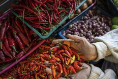 Harga Pangan 22 Juni 2025: Bawang Merah Rp42.013, Cabai Rawit Turun Menjadi Rp54.187 per Kilogram !