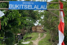 Destinasi Wisata  Bukit Selalau Lampung, Tempat Terbaik bagi Pecinta Hiking !