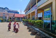 Soal Penemuan Ulat dalam Ompreng MBG Gratis, Begini Tanggapan Pihak Vendor 