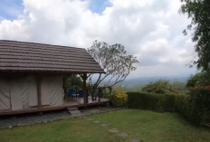 Camping Estetik di Taneuh Polaris: Destinasi Hits Buat Kamu yang Ingin Liburan Ala Glamping di Bogor