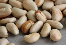 Jaga Kesehatan Tulang dan Gigi dengan Biji Nangka