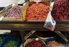 Harga Pangan 19 April 2025 : Bawang Merah Turun Jadi Rp44.306, Cabai Rawit Merah Rp74.103 per Kilogram !