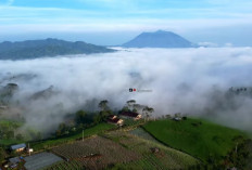 Pesona Bukit Embun di Pagi Hari: Daya Tarik Destinasi Wisata Asal Lampung!