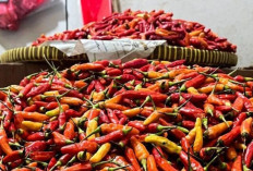 Harga Pangan 6 Juni 2025: Cabai Rawit Merah Turun Tipis Jadi Rp50.833 per Kilogram ! 