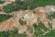 Tambang Emas Ilegal Dekat Mandalika: Nyawa Melayang di Balik Gugatan Tata Ruang dan Keselamatan