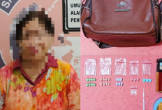 Polisi Ringkus Pengecer Narkotika Perempuan di Tulung Selapan, Puluhan Butir Ekstasi Disita