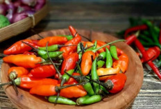 Mengenal Berbagai Jenis Cabe dan Kegunaannya dalam Masakan