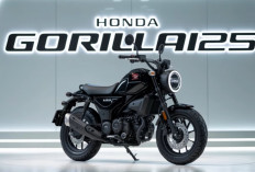 Riview Honda Gorilla 125: Motor Mini Tangguh Penerus Monkey 125 yang Ditunggu Para Biker !