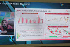 Data BPS Terbaru 2024 : Begini Kondisi Inflasi di Sumatera Selatan yang Sebenarnya !