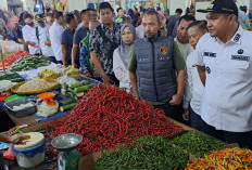 Jelang Ramadhan 1447 H Harga Cabai Burung di Prabumulih Tembus 80 Ribu