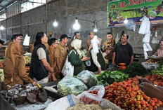 Pemkab Muba Siap Dukung Upaya Pangan Aman di Musi Banyuasin 
