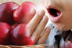 Mengapa Buah Apel adalah Pilihan Utama untuk Mulut Sehat Dan Solusi Bau Mulut? Ini Alasanya!