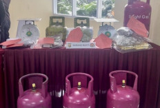 Reward dan Punishment Berbasis Anggaran untuk Penegak Hukum: Upaya Efektif Pulihkan Keuangan Negara