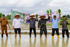 Kementan RI Targetkan Cetak 125 Ribu Hektare Sawah Baru di OKI  