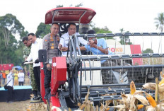 Sinergi Nasional, Polda Sumsel Lampaui Target Tanam Jagung Guna Dukung Swasembada Pangan 2026