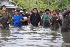 Banjir Mengancam, Bupati Panca Wijaya Akbar Langsung Turun Tangan