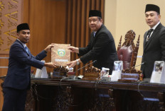 Kolaborasi Jadi Kunci! Wagub Sumsel Cik Ujang Buka Entry Meeting Pengawasan Pemerintah Daerah