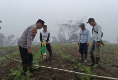 Tingkatkan Kesejahteraan Masyarakat Melalui Program Lahan Produktif