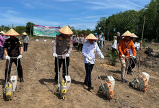 Polres Prabumulih Tanam Jagung Serentak Kuartal IV Dukung Swasembada Pangan Nasional 2025