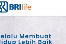 BRLife Beragam Produk Dengan Aneka Proteksi, Pendidikan, Kecelakaan Hingga Jiwa