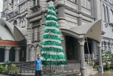 Gereja Katedral Palembang Sulap Botol Bekas Jadi Pohon Natal Setinggi 5 Meter