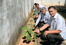 Warga Binaan Rutan Baturaja Diajari Bercocok Tanam, Dukung Ketahanan Pangan Nasional