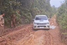 Pemkab Muara Enim Akan Bangun Secara Bertahap  Jalan Desa Pagar Agung