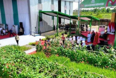 Cetak Kebun Vertikal di Perkotaan   