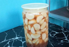 Fakta atau Mitos : Bawang Putih dan Madu Memiliki Banyak Khasiat Begini Penjelasannya!