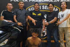 Viral di Medsos, Ferry Good Pencuri Sekarung Kelapa Ditangkap Tim Opsnal Sunyi Senyap Prabumulih Barat