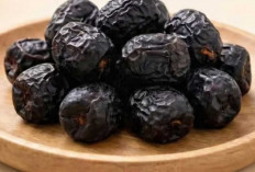 Tak Hanya Satu, Ini Jenis-Jenis Kurma yang Populer dan Digemari
