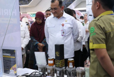 Pemprov Sumsel Gelar Job Fair, 35 Perusahaan Buka Ribuan Lowongan Kerja